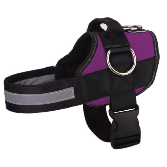 【50% OFF PROMOTION ONLY TODAY】World's Best Dog Harness - 2019 Version