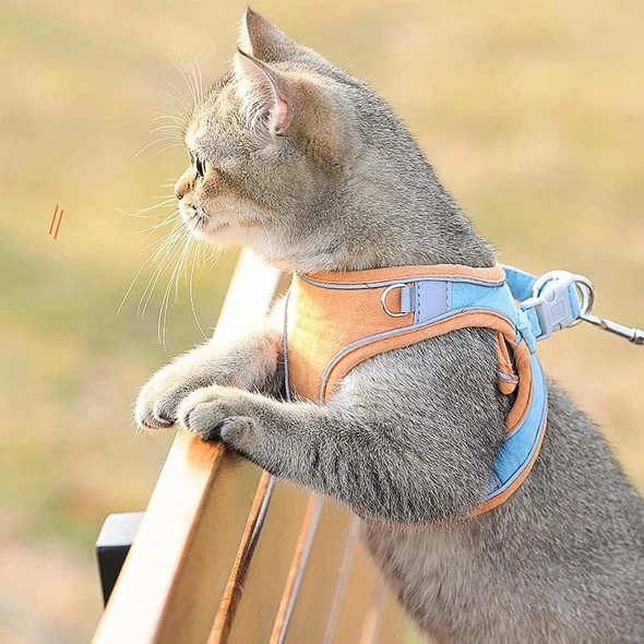 Luminous Cat Vest Harness And Leash Set