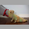 🔥Limited Time Sale 48% OFF🎉3D Knit Crocodile Socks