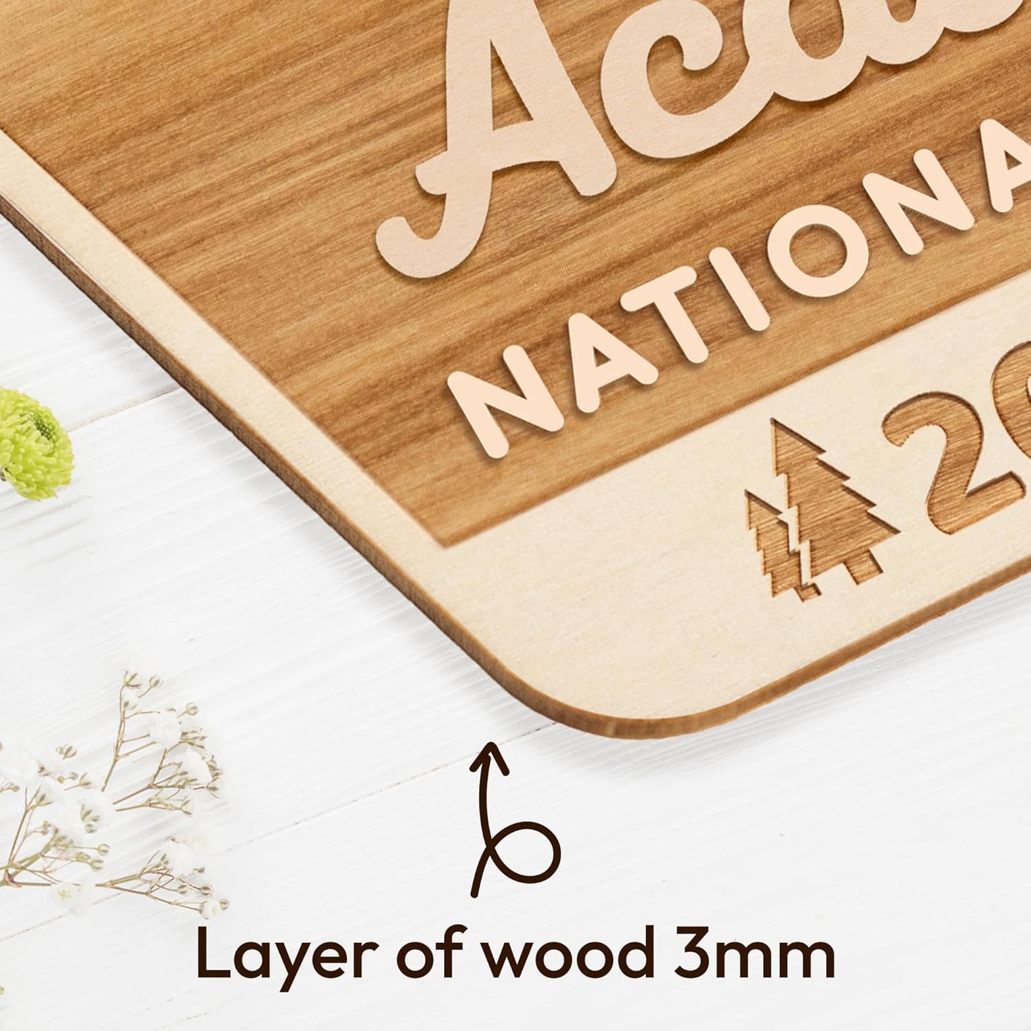 🎄Acadia Wood National Park Ornaments, National Park Gifts for Travelers, Adventurers