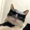 Pet cat handsome bat mask