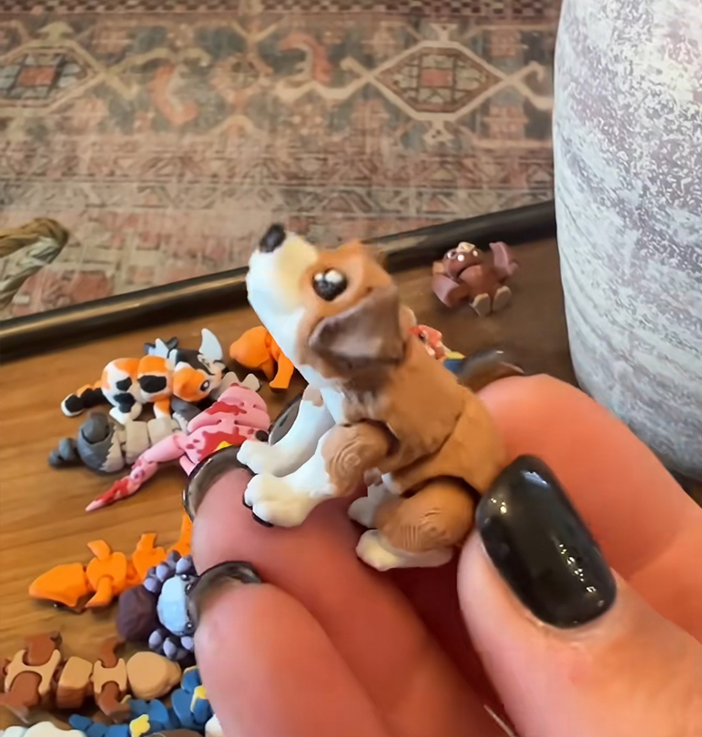 🔥Last Day 49% OFF -Animals Fidget Toys Assorted Pack of 10