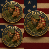 🎖️PTSD Awareness Commemorative Coin: Honoring Veterans’ Resilience