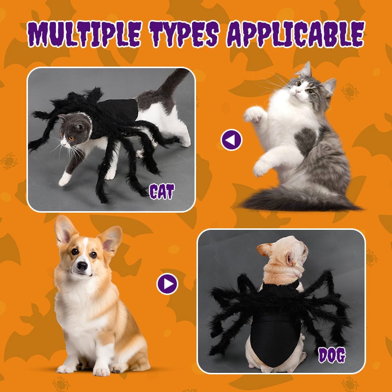 🔥Last Day Promotion - 60% OFF🎁Creative Festival Spider-Shaped Pet Dog Clothes