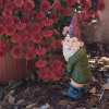 Funny Garden Gnomes Decoration