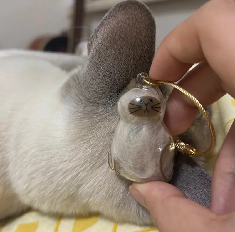 Pet Fur Memory Capsule Keychain
