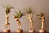 Mini Man—Jointed Puppet Flower Pot-Buy 2 Free Shippinf