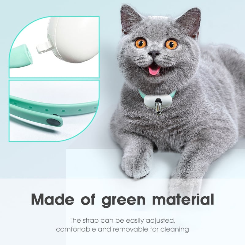 (🎄Christmas Hot Sale - 48% OFF) Electric Smart Amusing Collar for Kitten💥BUY 2 FREE SHIPPING