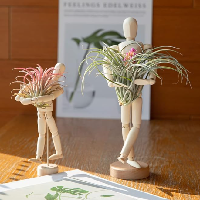 🔥Hot Sale 50% OFF🔥Handmade Wooden Jointed Mannequin Air Plant Holder