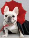 <strong>🎃Halloween Special 50% OFF</strong> 🦇Halloween Pet Cape Costumes Cosplay Vampire Cloak