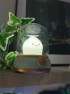 🔥Last Day Promotion 70% OFF🔥Cute Mini Led Desk Lamp⚡BUY 2 FREE SHIPPING