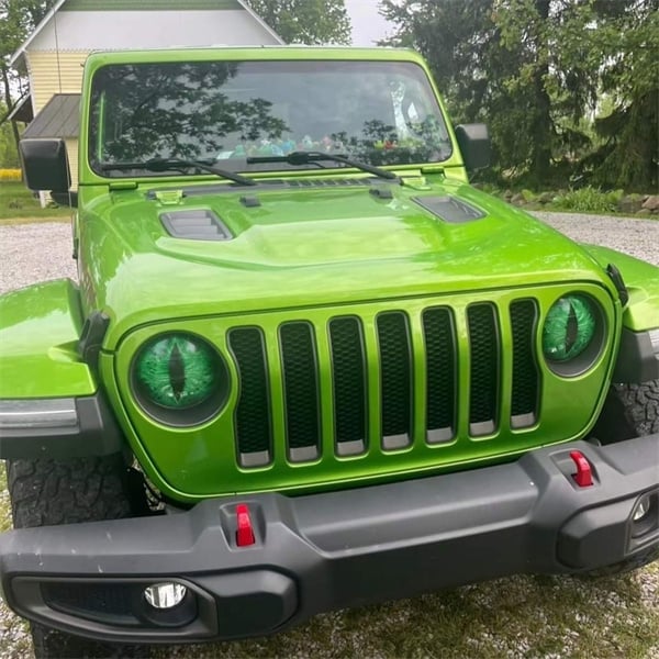 👀🚗Beast Eyes Headlight Decals(1 Pair)