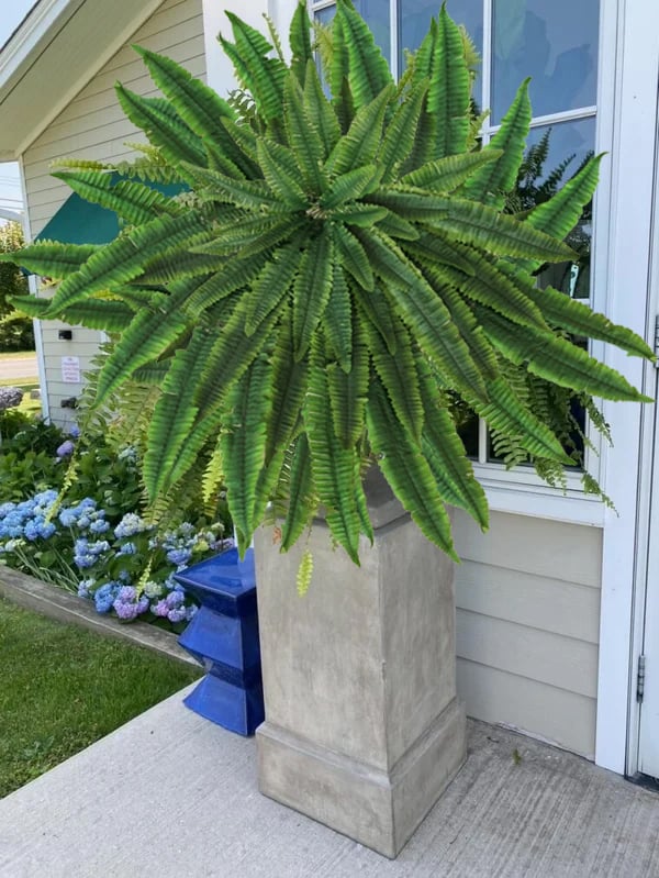 🔥 $9.98 On Sale Today Only 🌱 UV-Resistant Lifelike Artificial Boston Fern