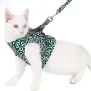 💖2022 Mother's Day Promotion- 48% OFF🌹Cat Vest Harness and Leash Set(Buy 2 Get Extra 10% OFF & Free Shipping)