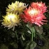 Outdoor Chrysanthemum Solar Garden Stake Decor Lights