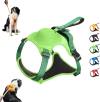 🔥LAST DAY 70% OFF🔥Automatic Retractable Dog Walking Harness, Buy 2 get Extra 10% OFF & Free Shipping