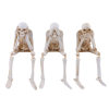 🔥Last Day Promotion 50% OFF🔥Skeleton Ornaments Sitting Skull Figurines