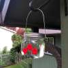 💗Mother's Day Gift--Beautiful Mason Jar Hummingbird Feeder w/Three Ports