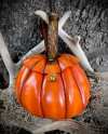 🎁TikTok Last Day Sale - 70% OFF🎃 Pumpkin Leather Foraging Pouch