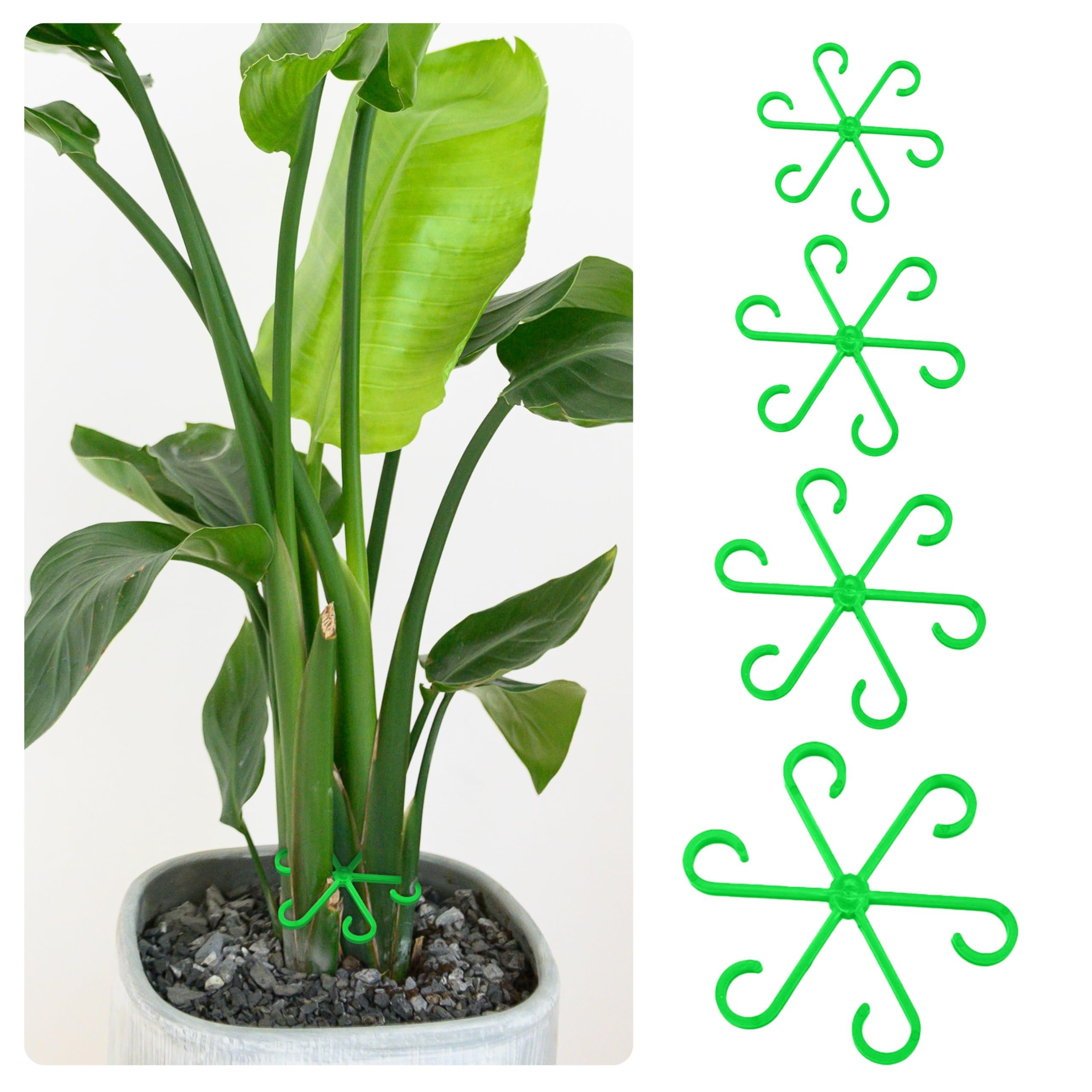 Last Day Promotion 70% OFF - 🌿Plant Stem Support Set