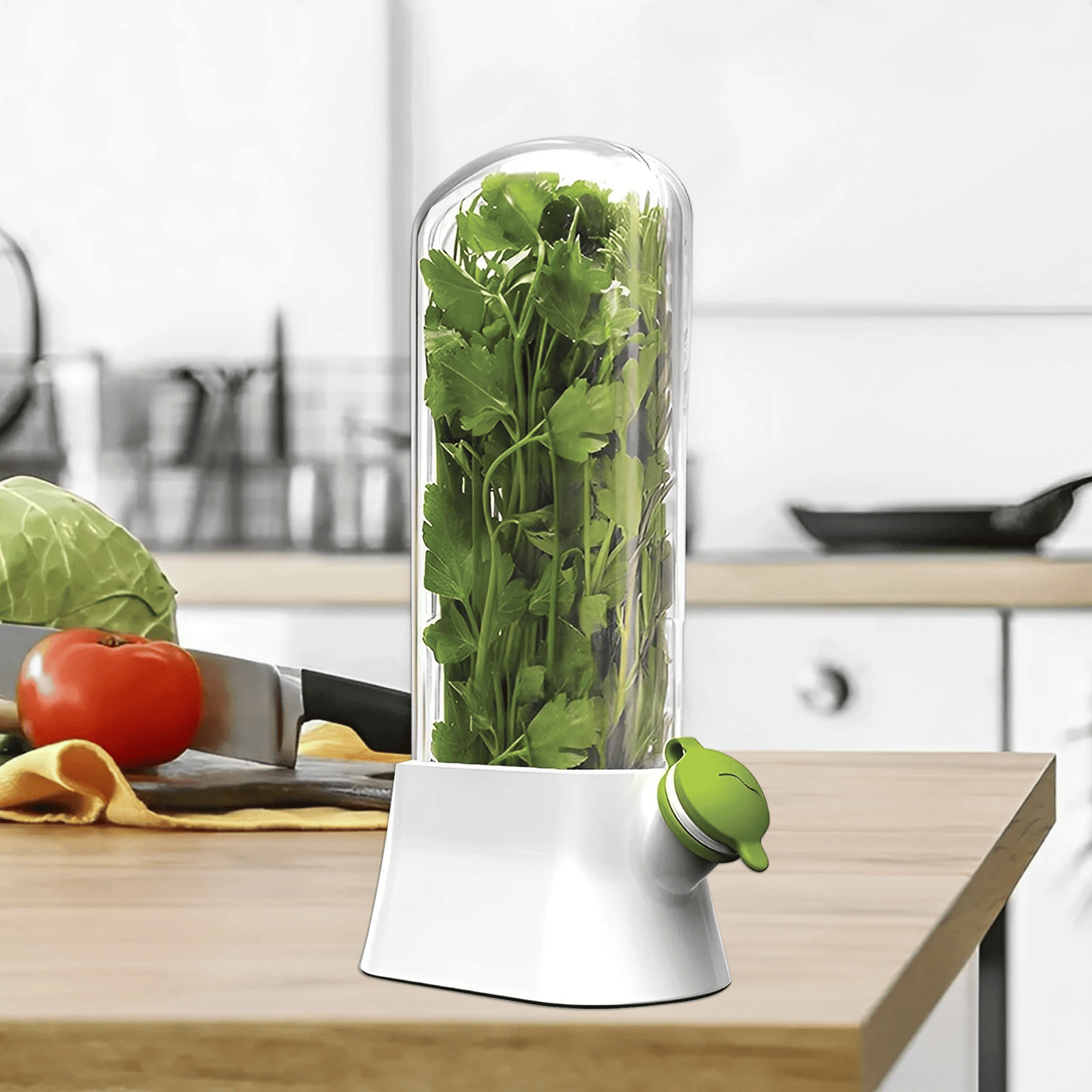 🔥Last Day Promotion 70% OFF🔥Cilantro Saver Container