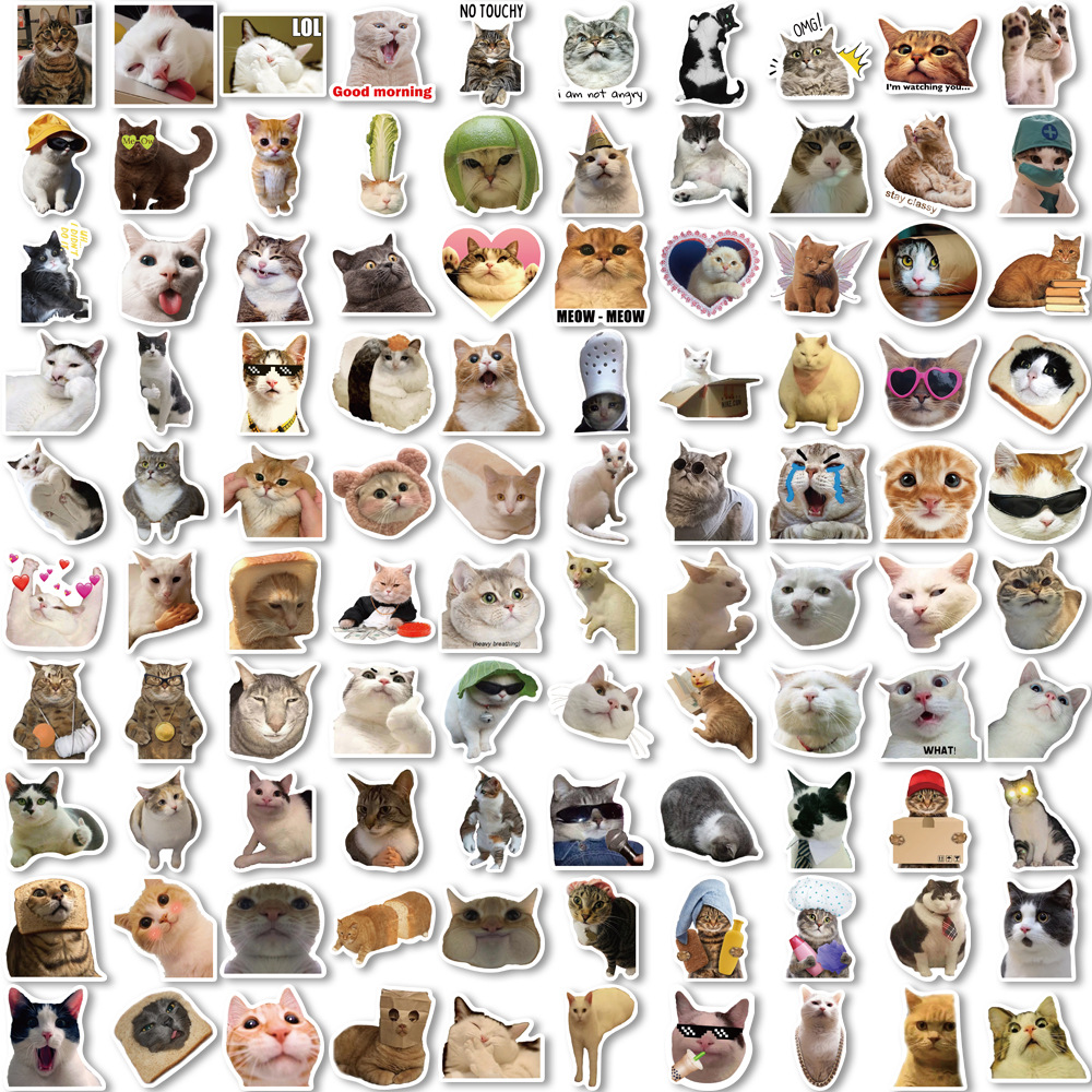 😻100 PCS Funny Kitten Stickers