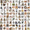 😻100 PCS Funny Kitten Stickers