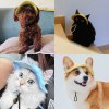 🔥BUY 2 GET 3 FREE&FREE SHIPPING😻Pet Summer Funnel Ear Fisherman's Hat