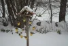 🔥Final Day Pre-sale Offer - Fun Ferris Wheel Bird Feeder 🐦 Let more cute birds come to your window