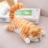 $17.99,ONLY FOR TODAY -Funny Rolling Cat