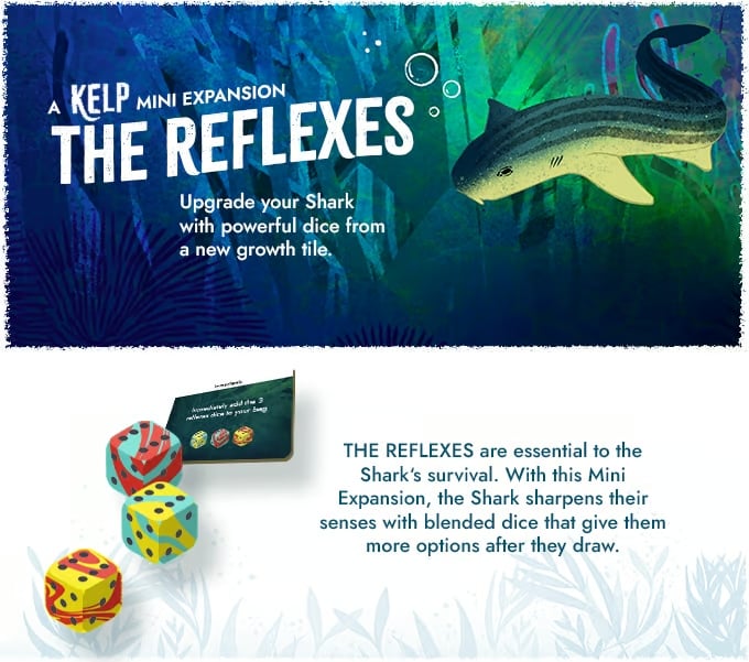 🔥Last Day Promotion - 70% OFF🎁KELP Board Games Shark vs Octopus