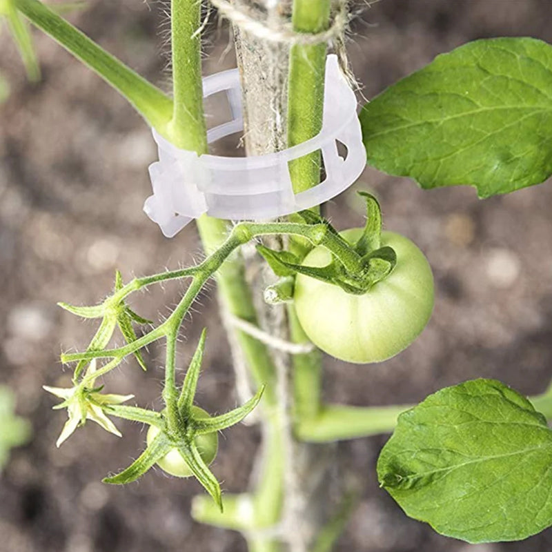 Last Day Promotion - 🔥Plant Support Clips
