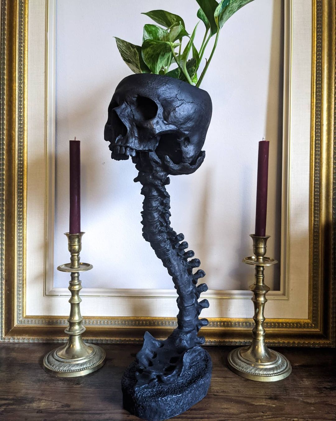 Skull Planter & Spine Stand Sets