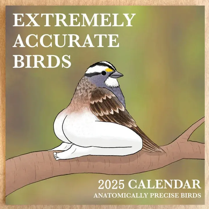 🎄TikTok Christmas Sale - 70% OFF🎄2025 Calendar of Extremely Accurate Birds