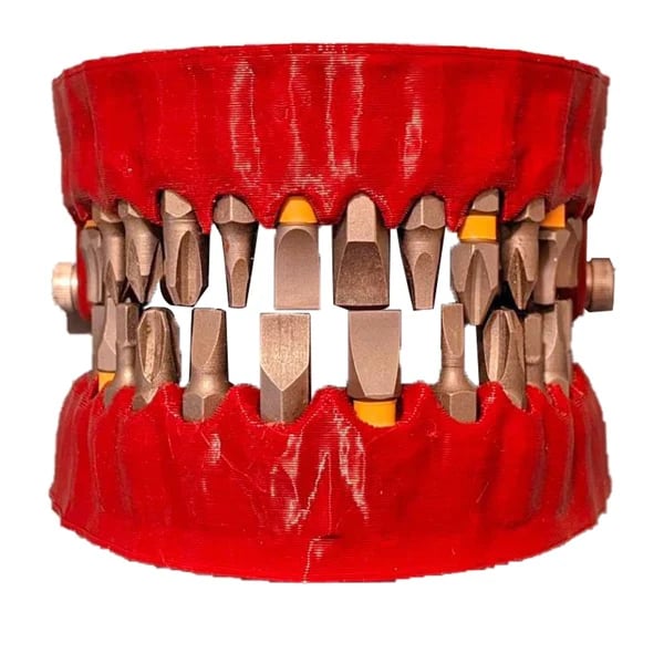 🔥Denture Driver Bit Holder