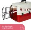 Kerbl 81346 Transportbox Expedion (Tiertransportbox Haustiere Katzen Hunde Kaninchen) aus Kunststoff 45x30x30 cm Mocaccino/Creme