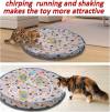 (🎄Christmas Hot Sale - 49% OFF) 2 in 1 Simulated Interactive Hunting Cat Toy