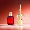 Midnight Rose Perfume🥀| A Timeless Fragrance 🌹