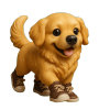 🔥LAST DAY 50% OFF--🎁Fun Golden Retriever Advent Calendar 2025