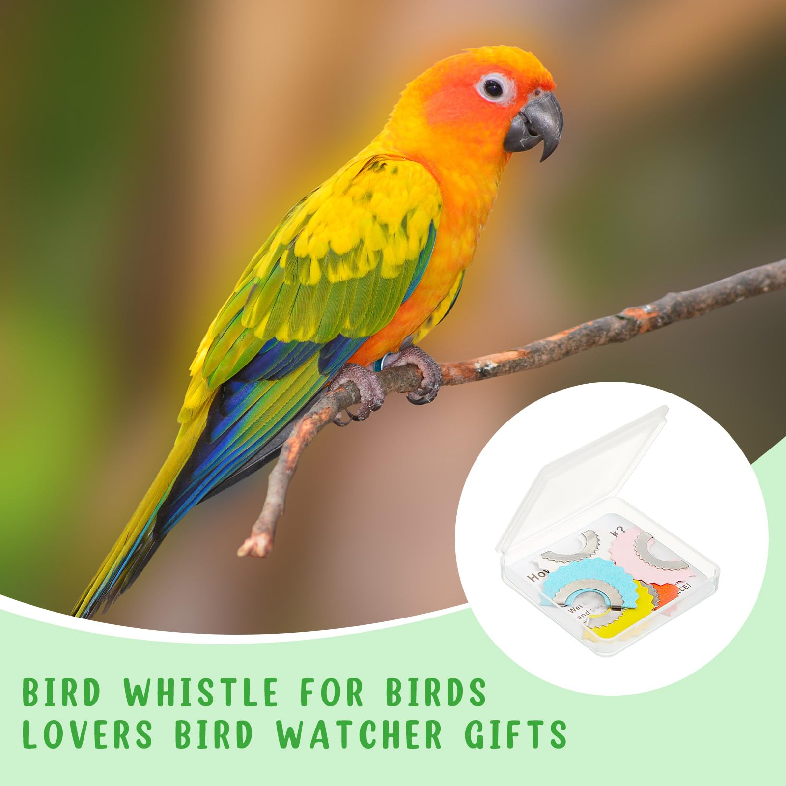 🔥Hot Sale 49% OFF - Bird Whistle Toys Bird Caller 5 Pack