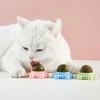 Last Day Promotion 48% OFF - Catnip Balls(🔥🔥BUY 3 GET 2 FREE)