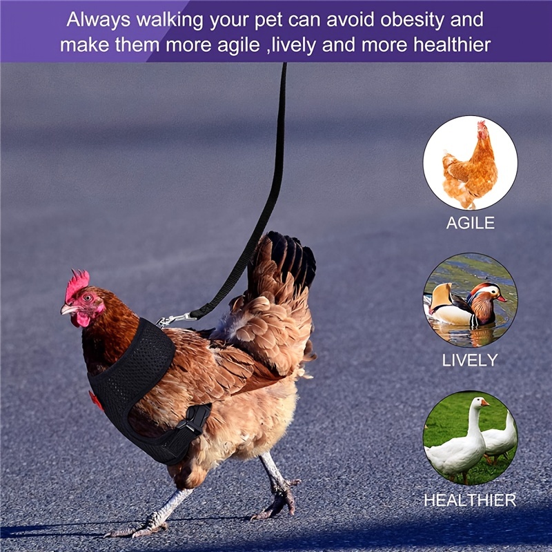 Adjustable Breathable Leash Set with Strap