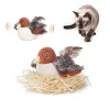 🔥 Last Day Sale 50% Off  ⏰ Interactive Chirping Bird Cat Toy 🐧