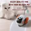 Remote Control Electric Cat Teaser Toy