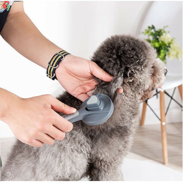 Pets Hair Brush Remover