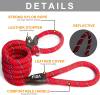 Fida Durable Slip Lead Dog Leash, 6 FT x 1/2