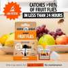 🎁TikTok Last Day Sale - 70% OFF🔥Super Ninja Fruit Fly Traps- safe for children and pets
