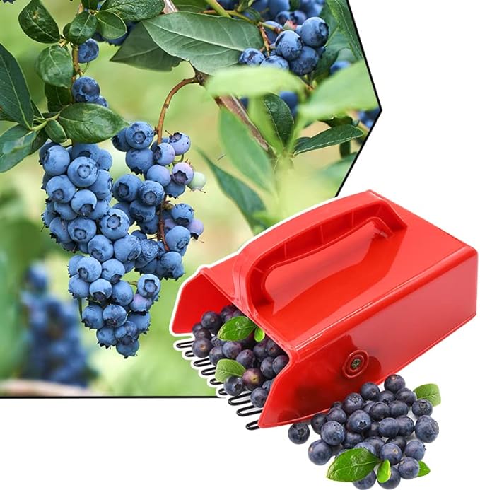 🎁TikTok Last Day Sale - 70% OFF🎉Your Hiking Buddy in the Wild! -🍓Berry Picker