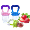 🔥Last Day Promotion 70% OFF🔥Safe & Easy Baby Fruit Feeder Set