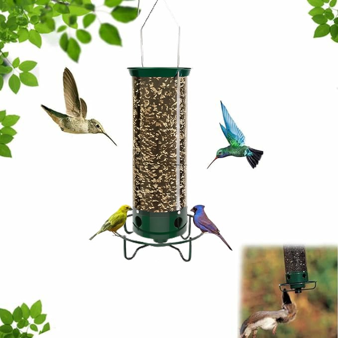 🔥Last Day 49% OFF🐦Squirrel-Proof Bird Feeder💥Buy 2 Get Free Shipping